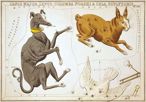 Canis Major as depicted in 'Urania's Mirror'.